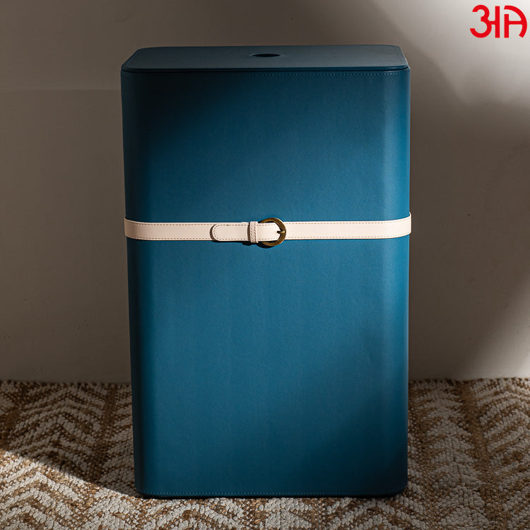 Buckle Design Laundry Box (16x11x24) Inch